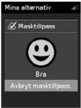 Mina alternativ Masktillpass Bra Avbryt masktillpass.