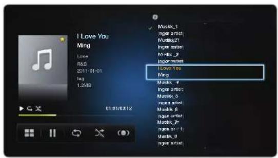 SAMSUNG UE37D5725RS - Přehrávání hudby - 1