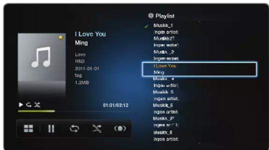SAMSUNG PS59D7005DK - Přehrávání vybraných hudebních souborů - 1
