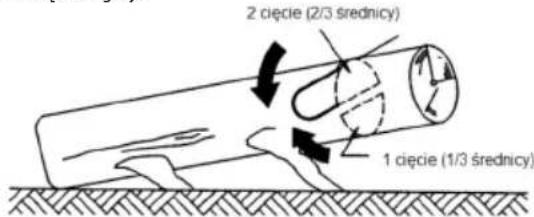 2 cięcie (2/3 średnicy) 1 cięcie (1/3 średnicy)
