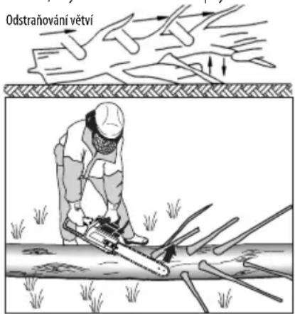 Odstraňování větví
