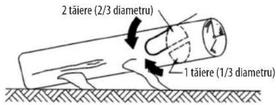 2 tāiere (2/3 diametru) 1 tāiere (1/3 diametru)