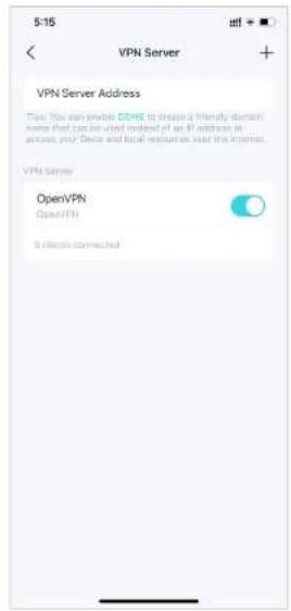 5:16 FTP Server + VPN Server Address This You can provide COME is designed a friendly domain name that can be used instead of an IP address in access your Dece and local resources near the license. VPN Server OpenVPN OpenVPN 8 clients connected