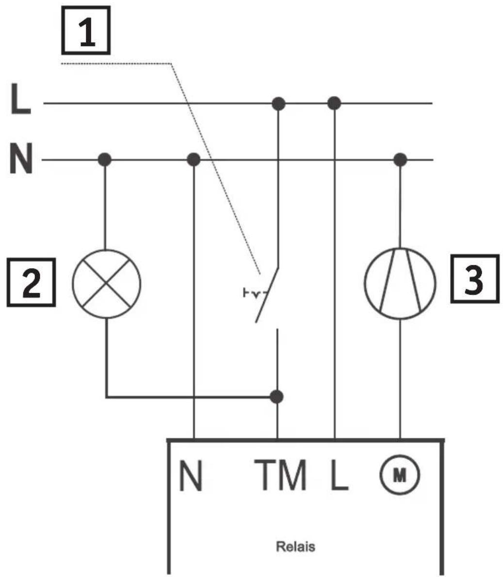 1 L N 2 hv- 3 N TM L M Relais