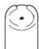 PANASONIC EW1213 - Orthodontic nozzle - 2