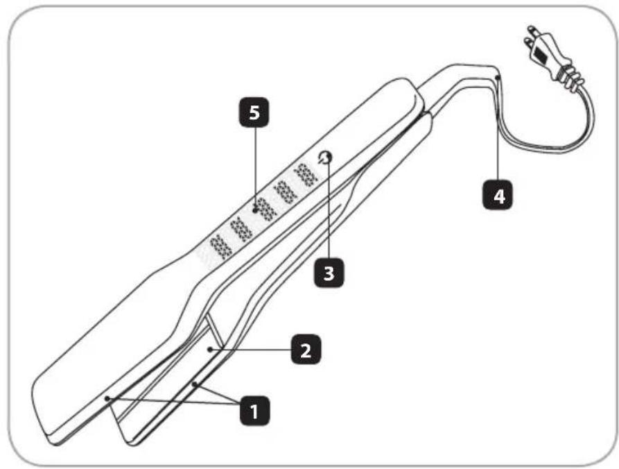 Diagram of a medical or electrical device with numbered parts labeled 1 to 5, likely for anatomical or technical reference.