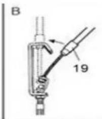 B 19