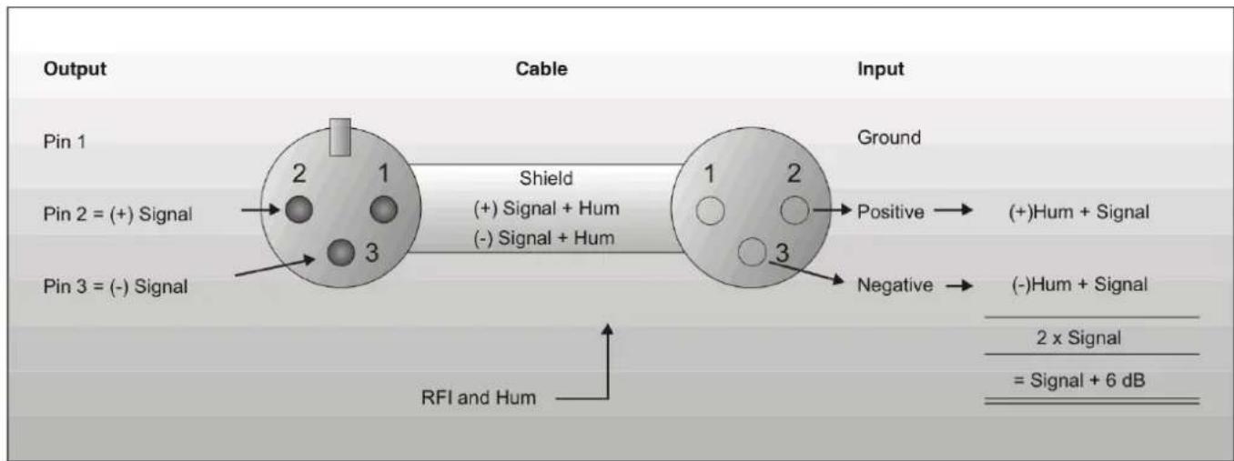 DAP-Audio CM-45 - Connection Cables - 2