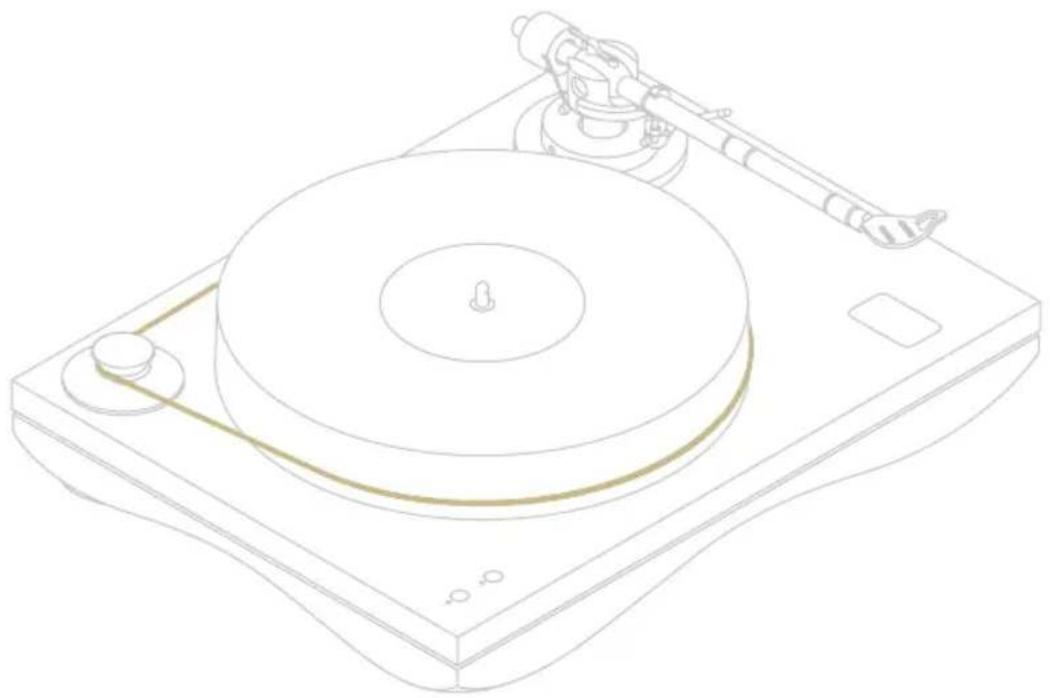 Gold Note Mediterraneo - BELT AND THE TONEARM CABLE - 1