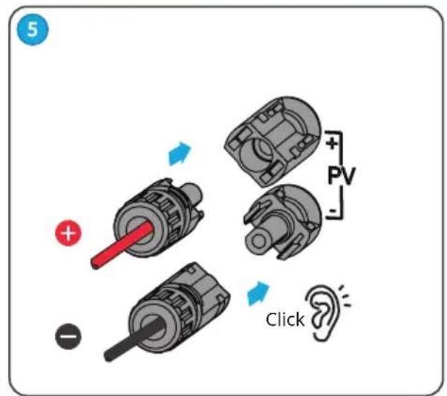 5 PV Click