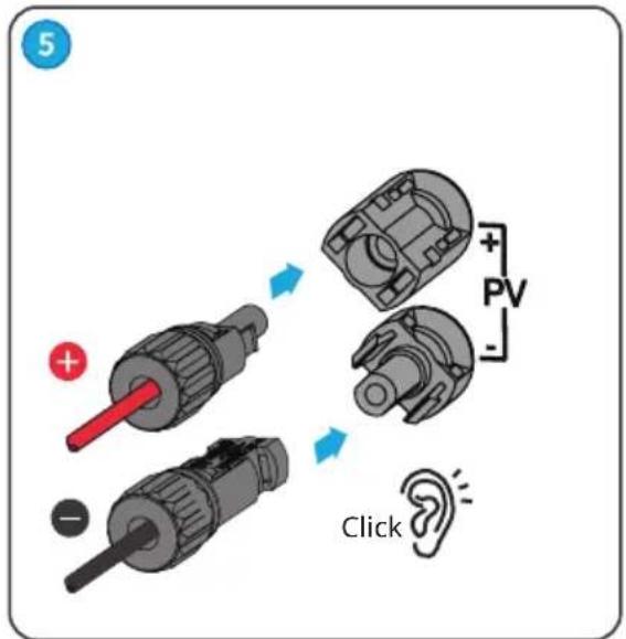 5 + PV Click
