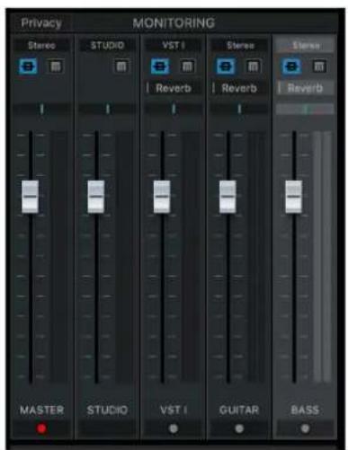 Privacy MONITORING Stereo STUDIO VST I Reverb Stereo Reverb MASTER STUDIO VST I GUITAR BASS