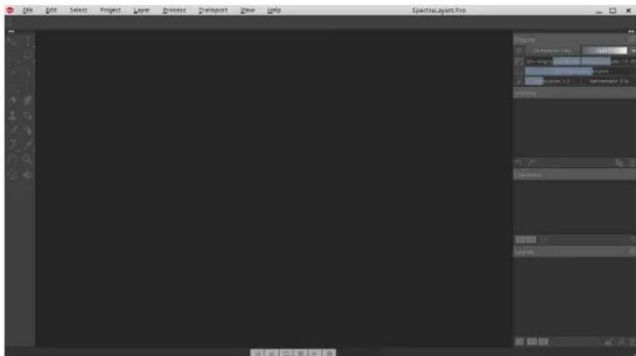 File Edit Select Project Layer Process Transport View Help SpectralLayers Pro Quality Opacity: 100% Size: 5 px Opacity: 100% Layer: 12 Balance Unisaturn Layers