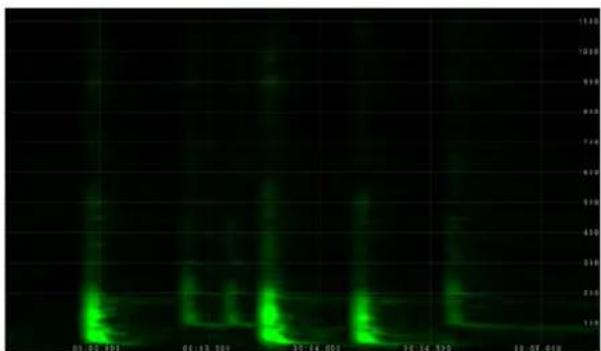 Digital signal waveform image showing green pulse patterns over time with timestamps and scale markers
