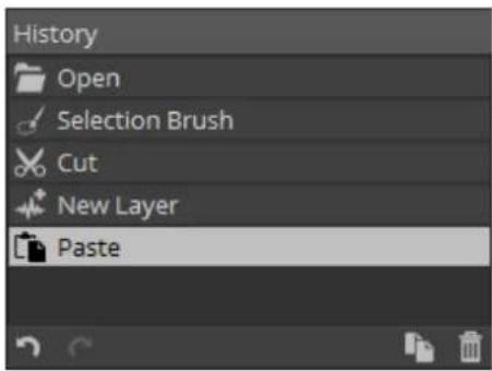 History Open Selection Brush Cut New Layer Paste