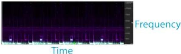 Frequency Time