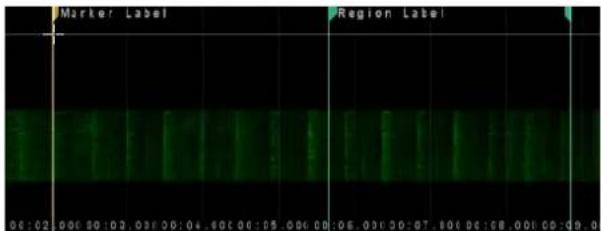 Marker Label Region Label 06:02 06:30 10:03 09:00:04 00:06:15 00:06:08 06:00:30:07 00:06:18 00:06:30