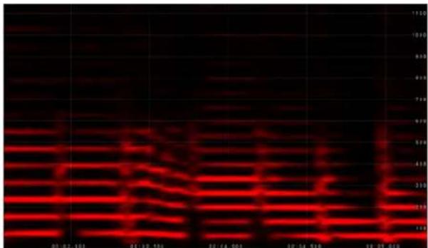 01.02.001 05.32.106 20.48.003 06.34.119 09.03.019