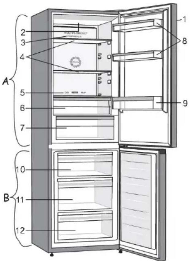 MULTIFLUORSHIP A 1 2 3 4 5 6 7 B 9 10 11 12