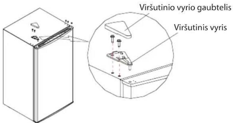 Viršutinio vyrio gaubtelis Viršutinis vyris