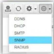 DDNS DHCP SMTP SNMP RADIUS