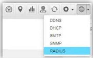 DDNS DHCP SMTP SNMP RADIUS