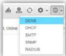 DDNS DHCP SMTP SNMP RADIUS