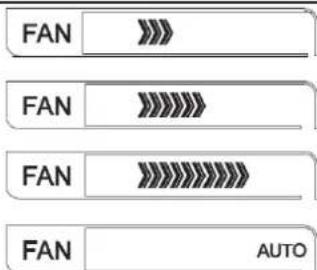 FAN >>> FAN >>>>> FAN >>>>