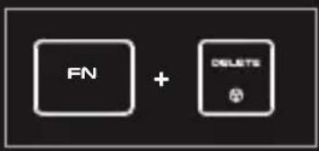 FN + DELETE