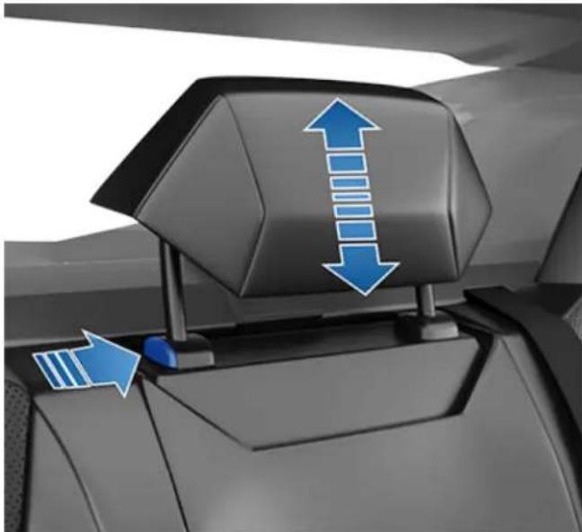 TESLA Cybertruck (2024) - Head Supports - 1