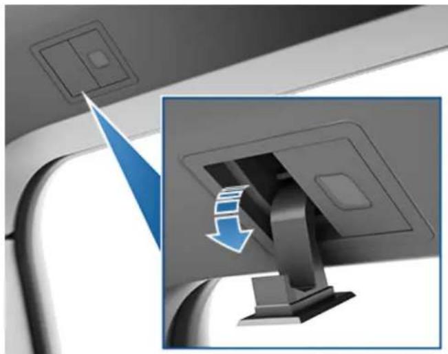 TESLA Cybertruck (2024) - Coat Hangers - 1