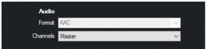 Audio Format AAC Channels Master