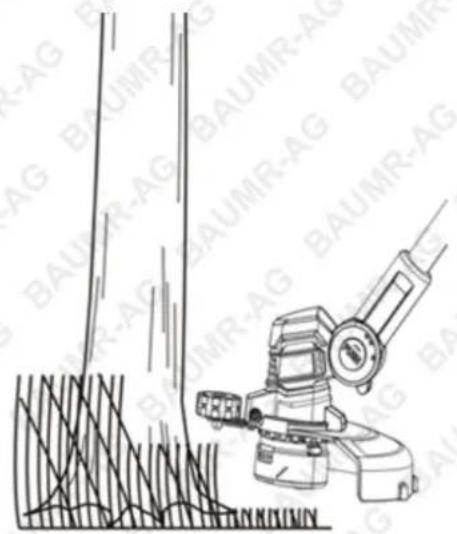 Baumr-AG LN3 - Tips - 3