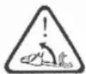 Fieldmann FZP 25410-B - EXPLANATION OF INSTRUCTION LABELS ON THE MACHINE - 6