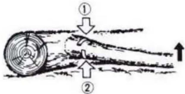 Diagram illustrating airflow around a tree trunk with labeled components and directional arrows