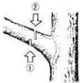 Diagram showing two labeled arrows pointing to a curved structure with annotations ① and ②