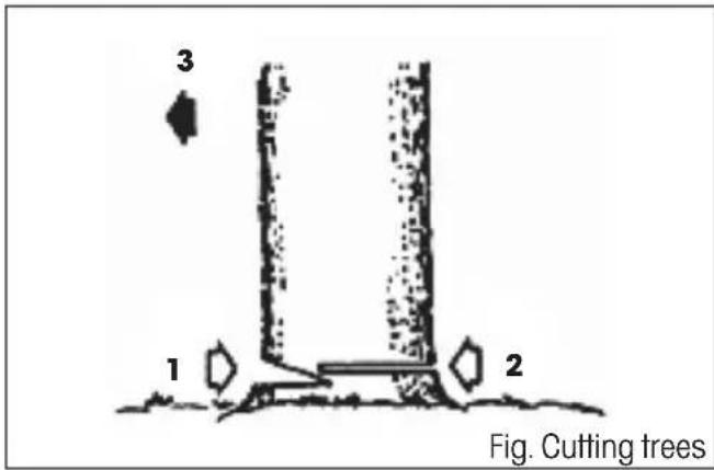 3 1 2 Fig. Cutting trees