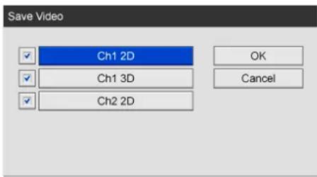 Save Video Ch1 2D Ch1 3D Ch2 2D OK Cancel