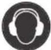 BLAUPUNKT CR5010 - SIMBOLURI - 2