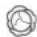 LIEBHERR CNsfa 5703 - EasyFresh - 3