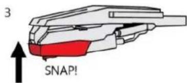 3 SNAP!