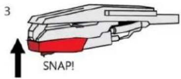 3 SNAP!