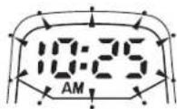 Honda CBF250 (2003) - Digital clock - 2