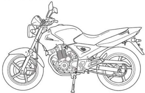 Honda CBF250 (2003) - AVVERTENZA - 3