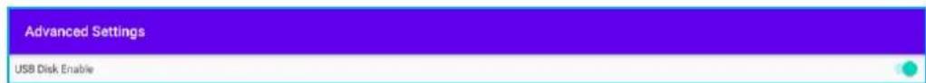 Advanced Settings USB Disk Enable