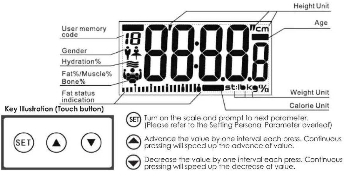 User memory code 18 00:00.0cm Gender Hydration% Fat%/Muscle% Bone% Fat status indication Height Unit Age Weight Unit Calorie Unit Key Illustration (Touch button) SET Turn on the scale and prompt to next parameter. (Please refer to the Setting Personal Parameter overleaf) Advance the value by one interval each press. Continuous pressing will speed up the advance of value. Decrease the value by one interval each press. Continuous pressing will speed up the decrease of value. SET ▲ ▼