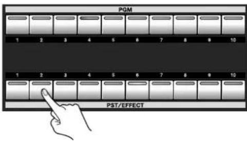 PGM 1 2 3 4 5 6 7 8 9 10 1 2 3 4 5 6 7 8 9 10 PST/EFFECT