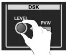 DSK LEVEL PVW