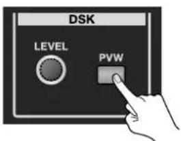 DSK LEVEL PVW