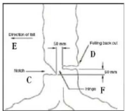 Direction of till E 50 mm Felling back out D 50 mm Notch C Hinge F